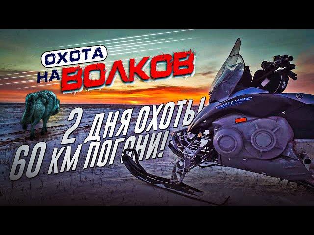 Охота на волков!60 км погони!