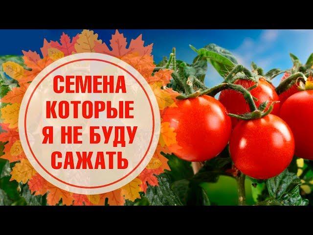 Хитсад ТВ - ТОП ХУДШИХ СОРТОВ ТОМАТОВ   Семена которые я не буду сажать!