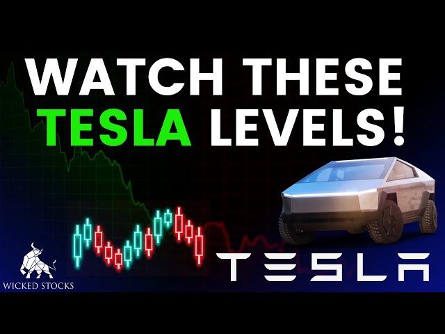 Tesla Stock Price Analysis | Top Levels To Watch for January 10th, 2025