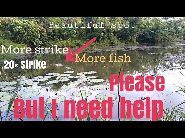 Beautiful spot more fish more strike but i need help/ episode:1 fishing vlog by joebert asor