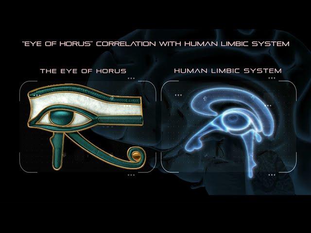 The ancient Egyptians explained the biology of consciousness!