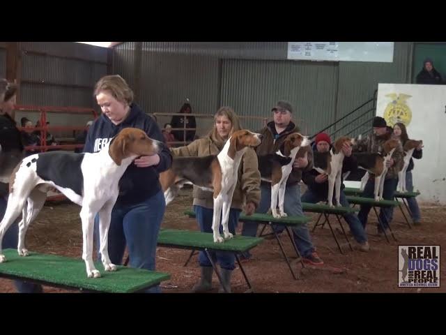 2015 UKC Southeastern Treeing Walker Days | United Kennel Club