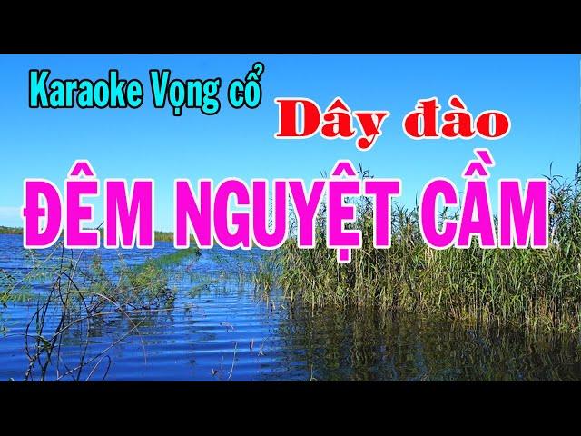 Karaoke vọng cổ ĐÊM NGUYỆT CẦM - DÂY ĐÀO