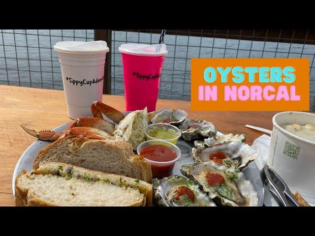 A road trip for oysters in Northern California