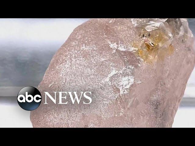 Rare pink diamond is largest such gemstone found in 300 years l ABC News