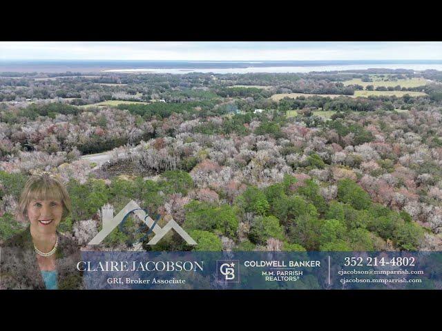 Claire Jacobson-22950 U S  441, Micanopy, FL