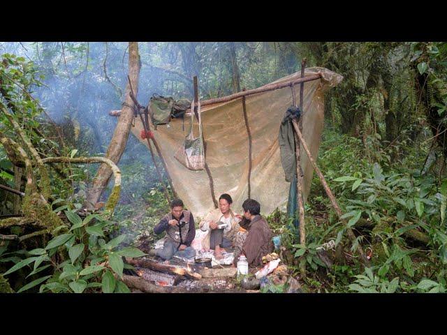 Discover  China's hidden tribes living deep in the primeval forests, only discovered 70 years ago