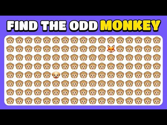 Find the ODD One Out - Animal Challenge!  | Hard Levels 