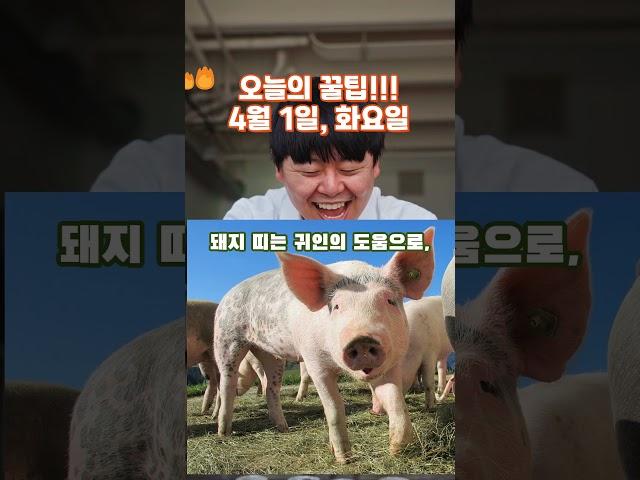 황호샘, 오늘의 꿀팁!!! 4월 1일, 화요일, 꼭, 보세요. 안보면 후회합니다. #운세 #사주명리학강의 #지식