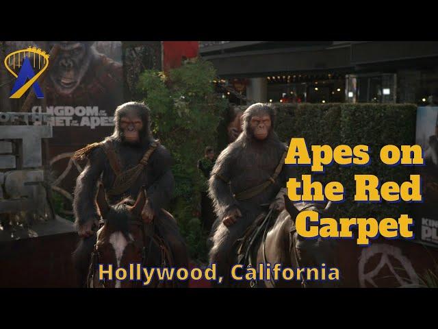 Apes on Horseback at World Premiere of Kingdom of the Planet of the Apes