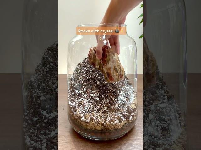 Building a Crystal Terrarium (Self Sufficient Ecosystem With Plants In Closed Jar)