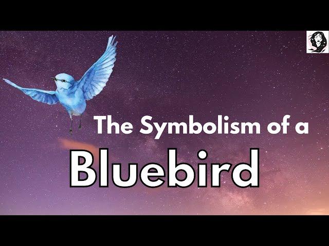 Symbolism of a Bluebird - Bluebird Spirit Animal