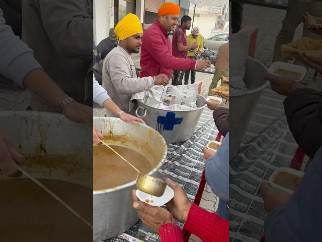 Guru da langar #wmk #waheguru #wmkੴ #punjabi #shorts #sikhi #langar