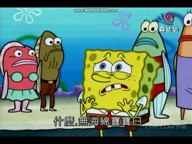 海綿寶寶  無海綿寶寶日