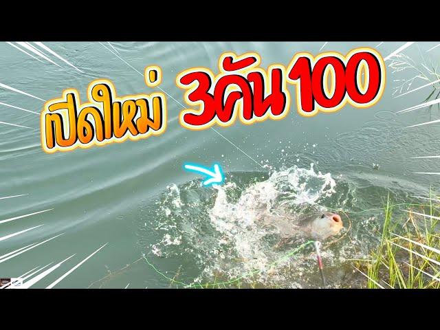 วอร์มรอเลย หมายเด็ด  3คัน100เดียว | เด็กตกปลา