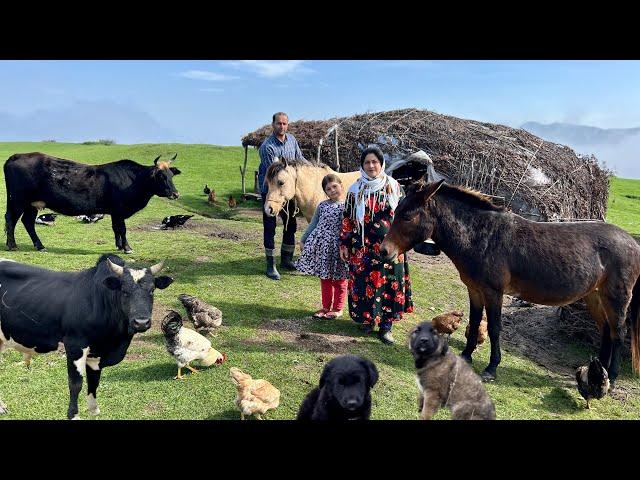 Nomadic Life: A Beautiful Autumn Morning in the Mountains | Taking Ducks & Geese to the Pond