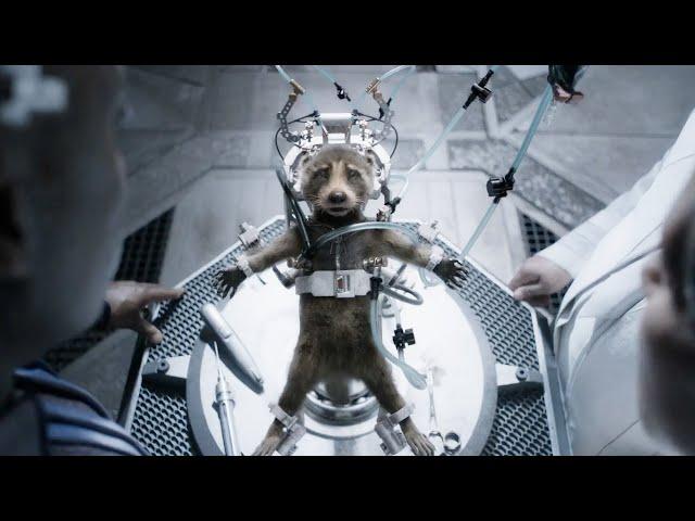 Rocket's most Emotional Scenes (Guardians of the Galaxy Vol. 3)