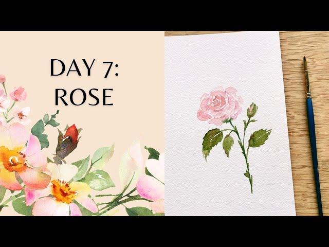 Day 7 - Watercolor Rose