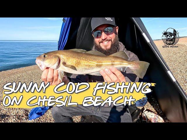 Sunny Cod Fishing On Chesil Beach | Cameo By Gareth Griffiths