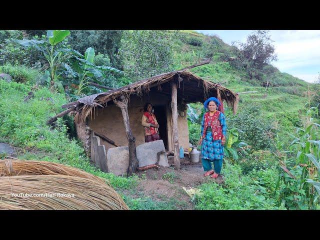 Very Relaxing Nepali Mountain Village Life of Nepal | Daily Activities of Village People | Rainy Day