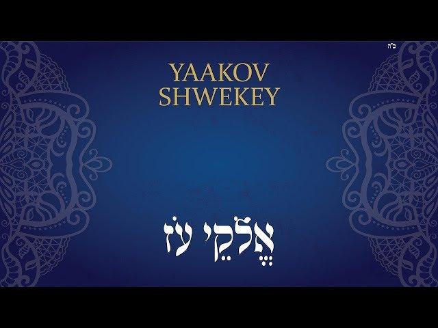 אלוקי עוז - שוואקי | SHWEKEY - Elokei Oz