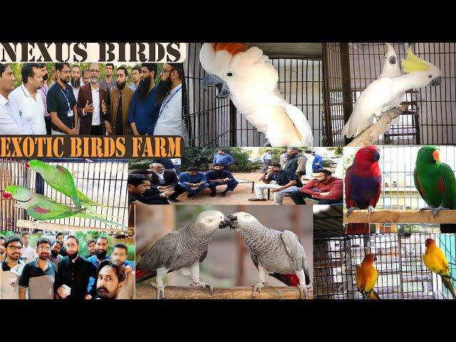 BIGGEST EXOTIC BIRDS FARM VISIT DR SYED SAUD ARSHAD GUEST ALL HOBIERS & NAVEED SHEIKH