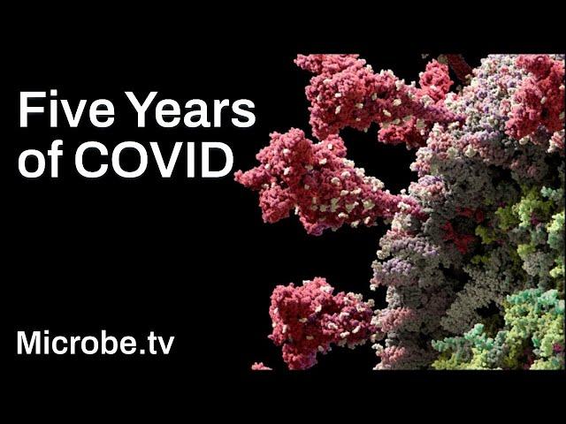 Five Years of COVID