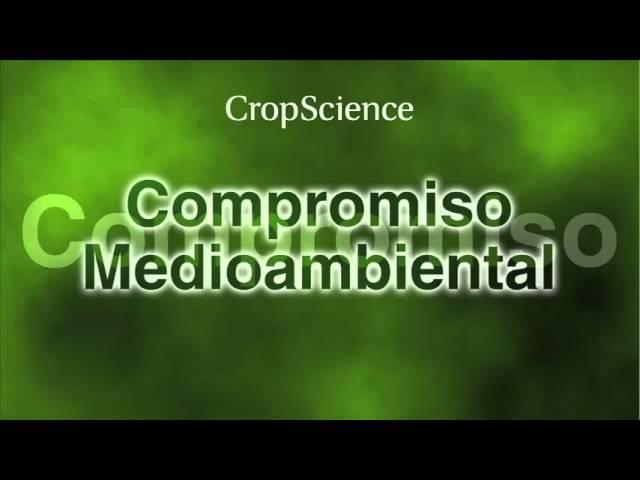 Innovación Bayer CropScience Región Andina