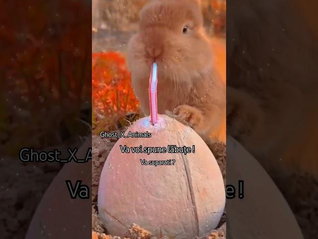 Va iubi ! 