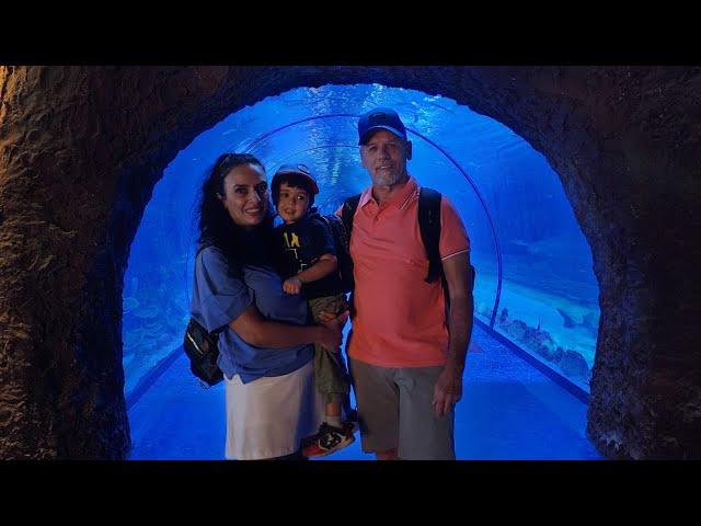 4K - UAE - Abu Dhabi National Aquarium - Ակվարիում - Գներ - Liana Welch Vlog