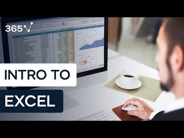 Introduction to Excel | 365 Data Science Courses