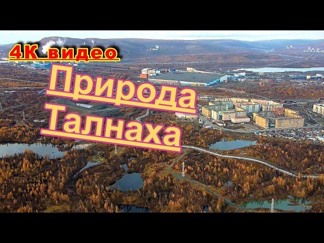 Талнах с высоты. 4К видео