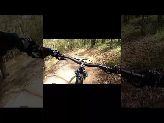 Nerang xmas day. Casuarina Long Loop. Flowy goodness  #mtb #emtblife #specializedbikes #mtblovers