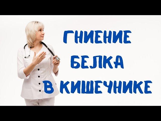 Гниение белка в кишечнике Доктор Лисенкова