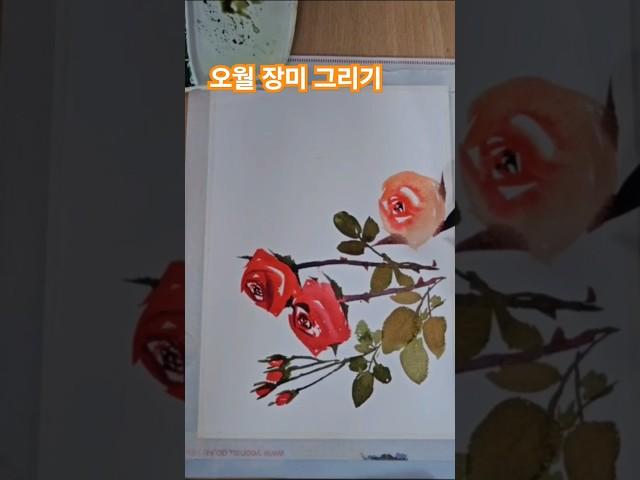 5월  장미꽃 그리는법