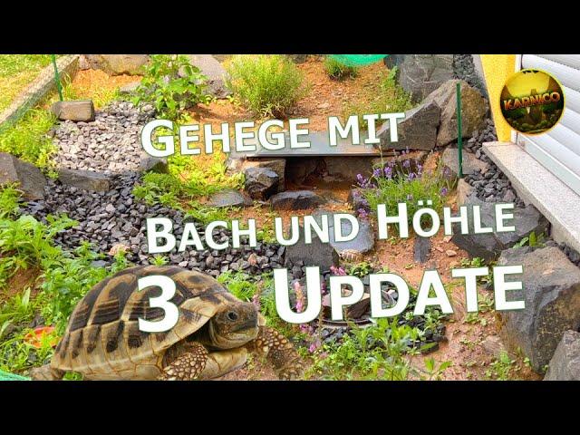 Schildkrötengehege: Update nach zwei Jahren I Landschildkröten-Gehege Teil 3