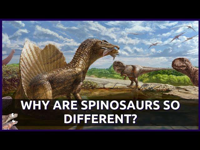 Why are Spinosaurs So Different From Other Dinosaurs? (New Species: Riojavenatrix lacustris)