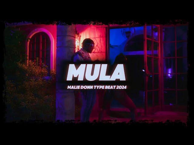 Trap Dancehall Instrumental 2024 - Mula (@prodtreybeats)