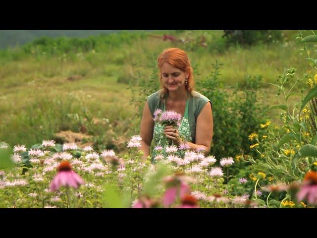 Online Herbal Immersion Program
