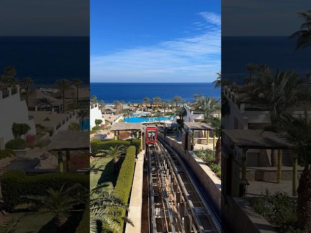 Safir Sharm Waterfalls Resort. #sharm #egypt