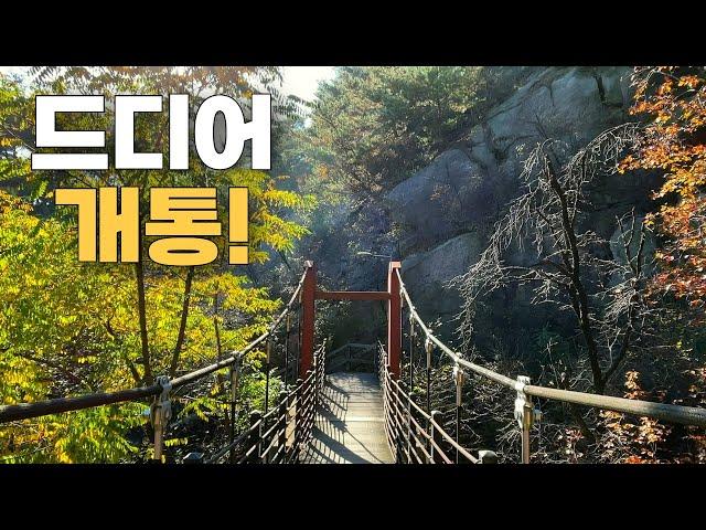 드디어 개통! 전철역에서 5분! 15.8km 트레킹 코스 | 대중교통 당일치기 여행 |  Secret Forest in Seoul