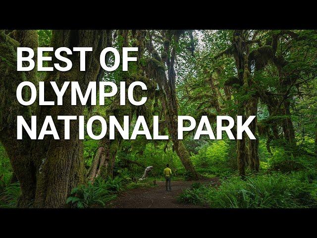 Top Things You NEED To Do In Olympic National Park