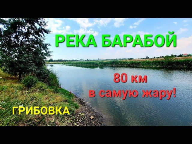 Река Барабой. Санжейское водохранилище. Грибовка. Леонидово. Рыбалка. Море. Краеведение. #зоотроп