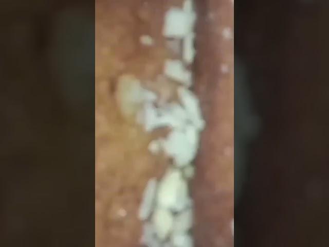 #Bread recipe#sweet @ Asma Shaikh Kitchen