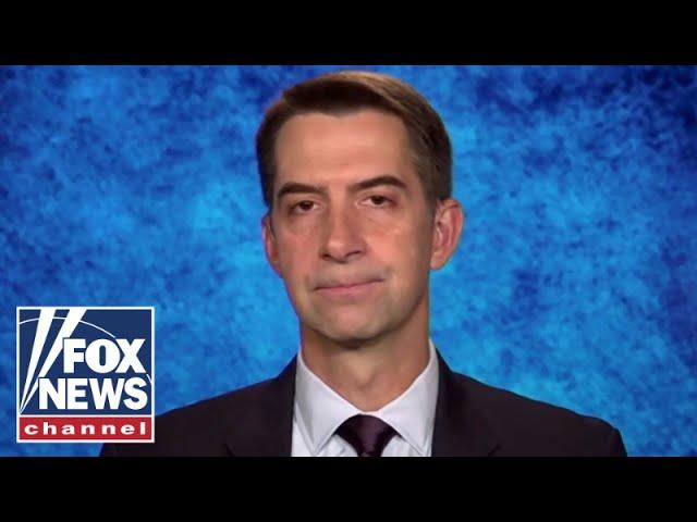 'This is crazy': Cotton calls for probe of Democrat ballot scandal