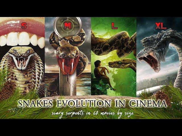 Snakes Evolution in Cinema: Scary serpents in 60 movies by size