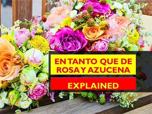 En tanto que de roza y azucena: Explained