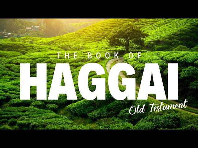 The Book of Haggai | Old Testament | Daily Bible Reading | Divine Discourse TV