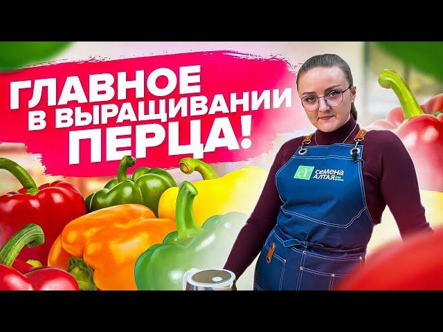 ВСЕ ЧТО НУЖНО ЗНАТЬ О ВЫРАЩИВАНИИ ПЕРЦА! Как посеять сладкий перец