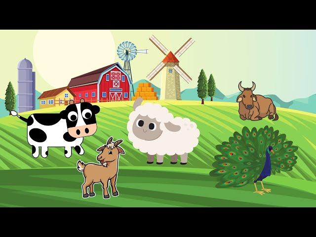 BOL Animals [Farm Animals] #animalsounds #asmr #kidsvideo